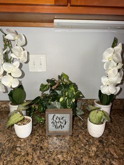 Home decor $35