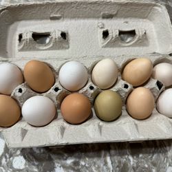 Farm Fresh Eggs