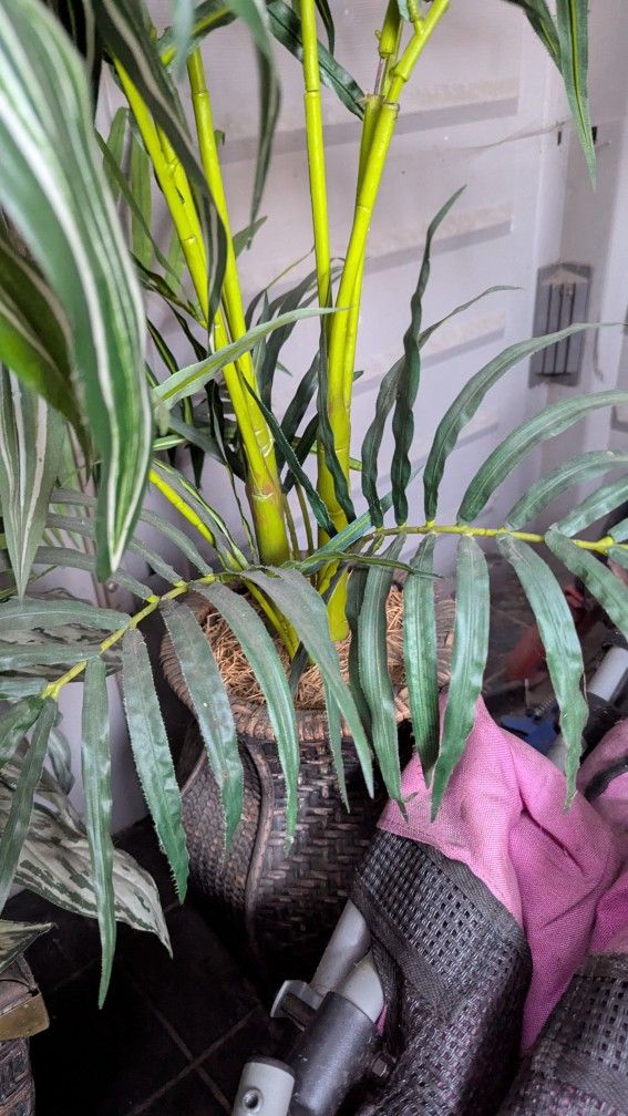 Fake Green Plants 