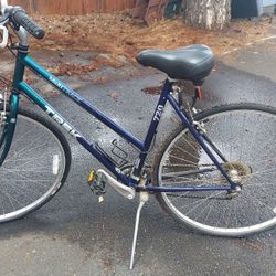 Adult Bik