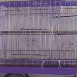 CAGE. BIRDS 