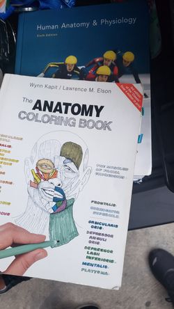 Anatomy books
