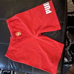 NEW PUMAS SHORTS 