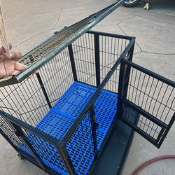 Dog Kennel