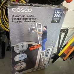 cosco 16 ft telescopic ladder