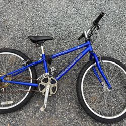 Schwinn Bike 24”