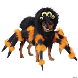 Spider Big Dog Costume Size XXL