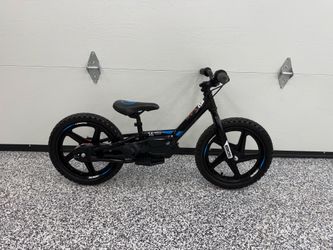 Stacyc 16e BRUSHLESS