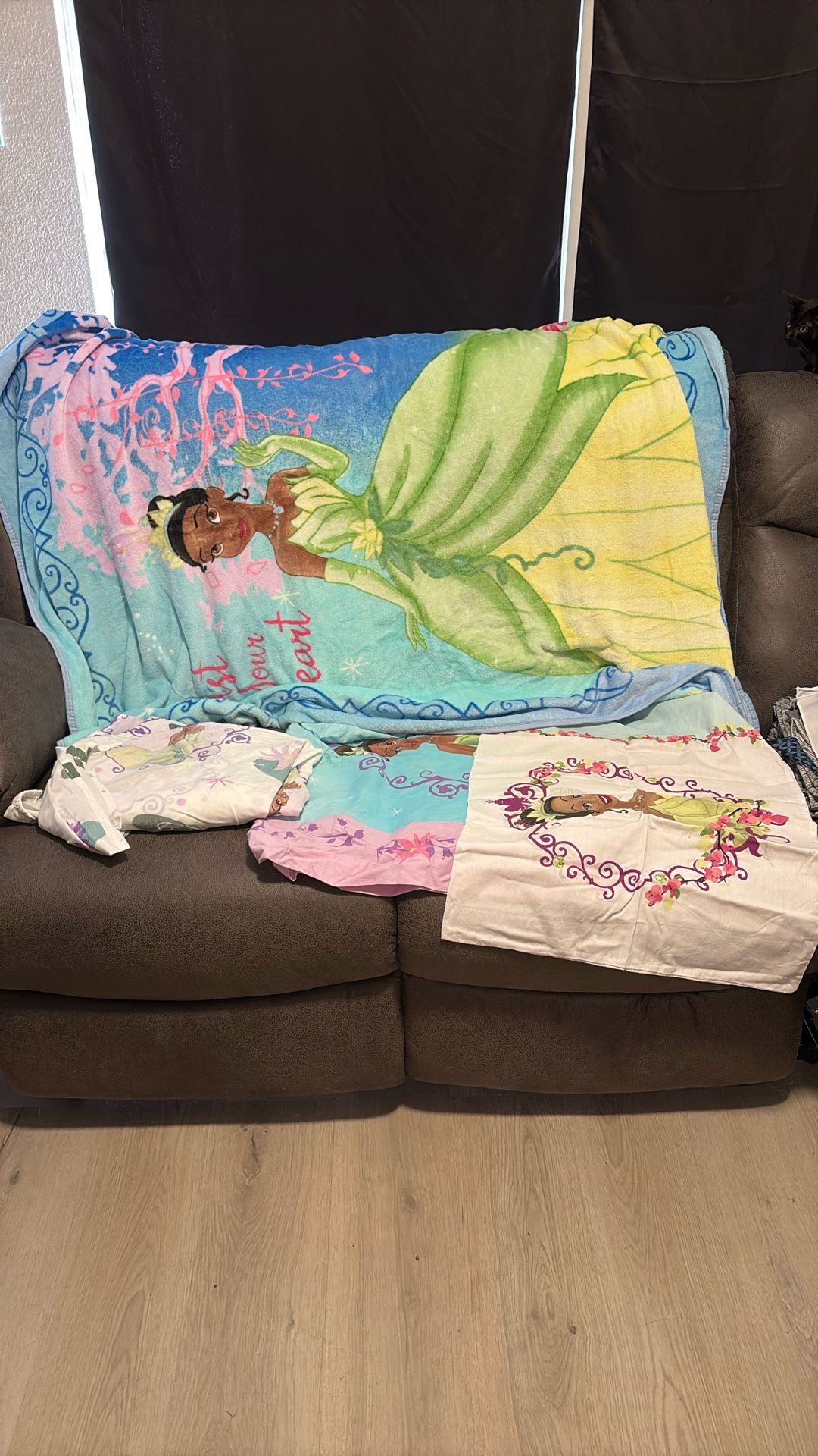 Princess and the frog twin size bed set