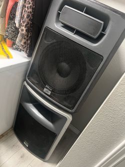 Peavey 15” speakers