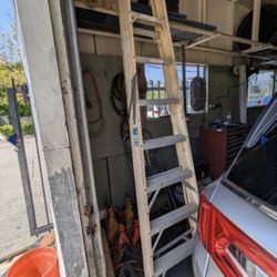 Werner Electro Master 8' Ladder - Model FS108