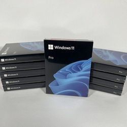 Windows 11 Professional USB 64 Bit

