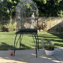 Bird Cage 63” Tall
