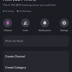 Professional Discord Server