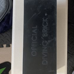 10lb Diving Brick