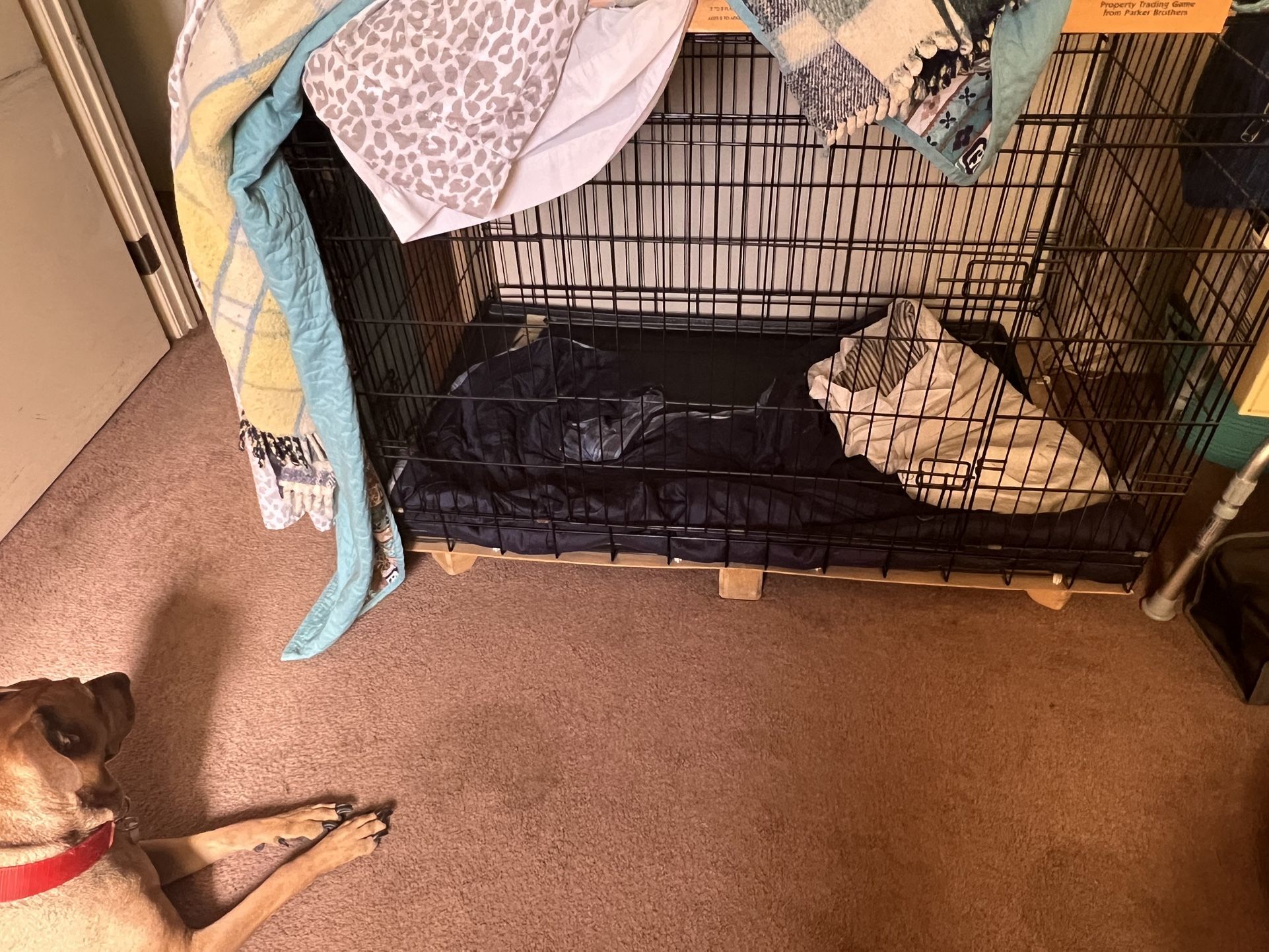 Dog Crate 60 OBO Extra Large