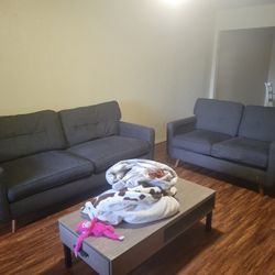 Grey Couches 