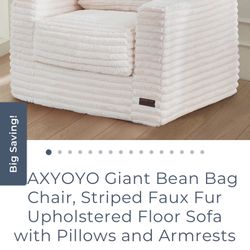 Giant Bean Bag Chair (Free Local Delivery)