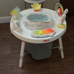 Skip Hop Activity Center