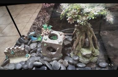Fish tank used