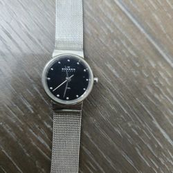 Womens Skagen Watch