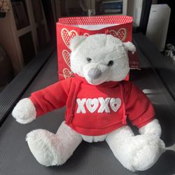 💘 Valentine's Day Teddy Bear w/ Hoodie Plush 8” X 11” X 11” Gift Goffa CVS Red & Pink