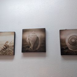 Ocean Canvases Set Of 3