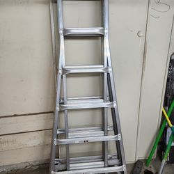 Warner Telescoping Ladder