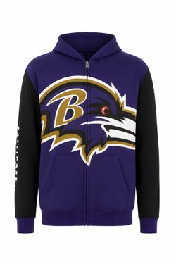 Baltimore ravens hoodie
