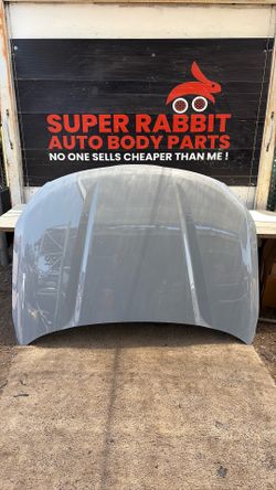 2020 Telluride Hood OEM 2025