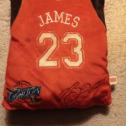 LeBron James Mini Pillow