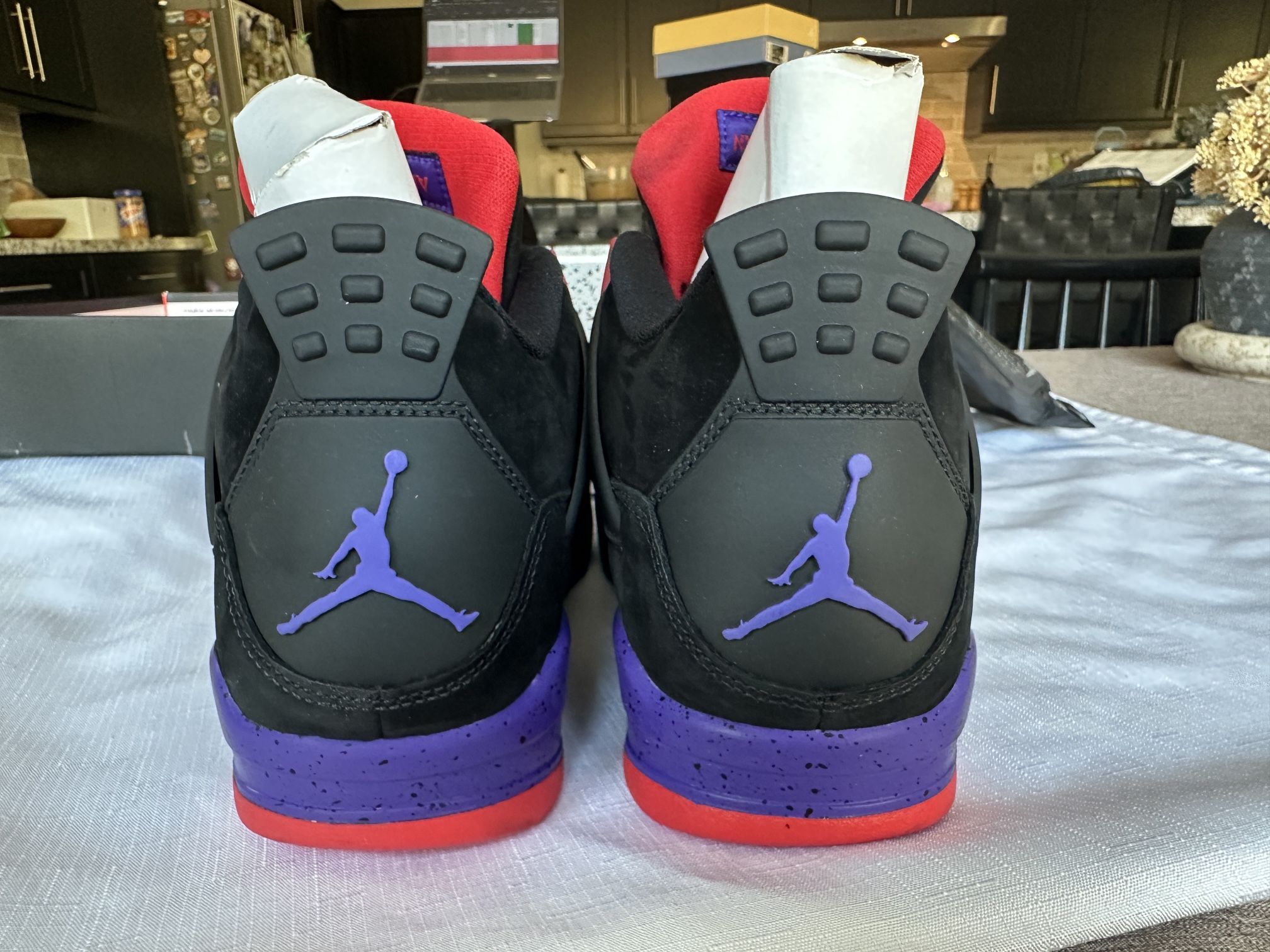 DS Jordan Retro Raptors Drake OVO