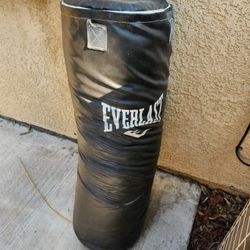 Everlast Heavy Bag – Black Punching Bag