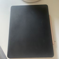 iPad 5th Gen 12.9 Inch