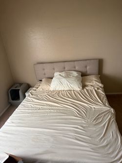 King and queen beds