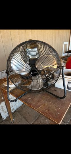 Fan