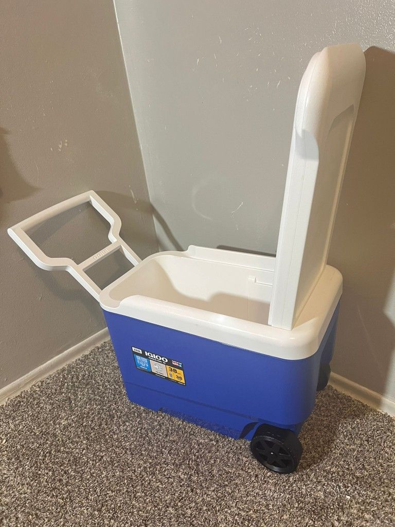 Portable Fridge/Cooler