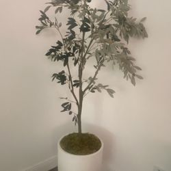 House Decorations 