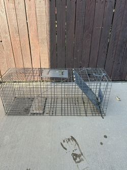 Animal Trap