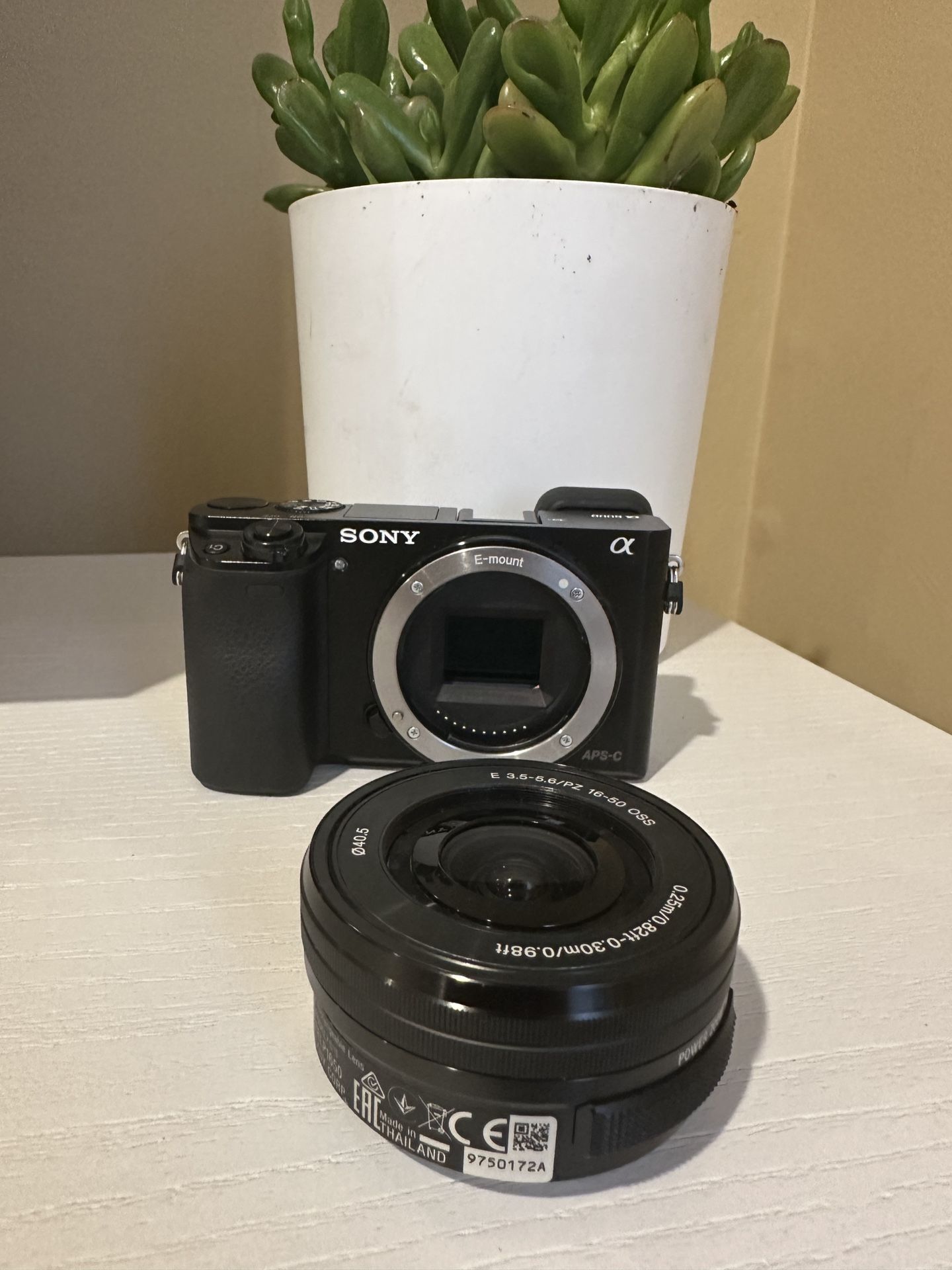 Sony a6000