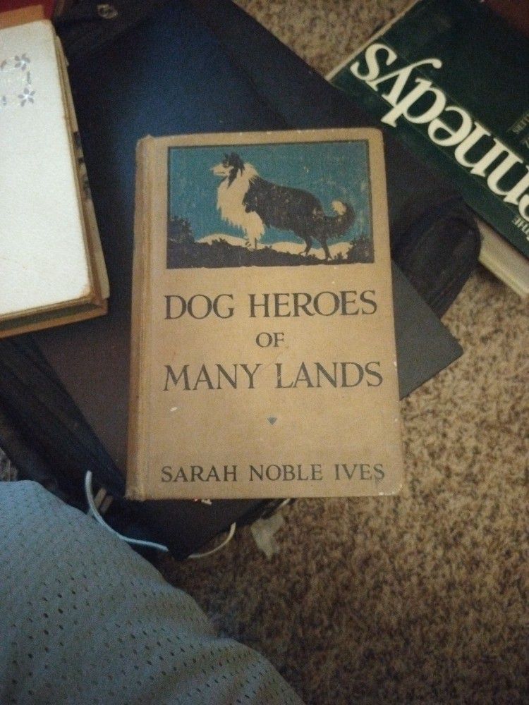 Dog Heroes Of Many