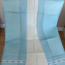 Blue Underpads Disposable New