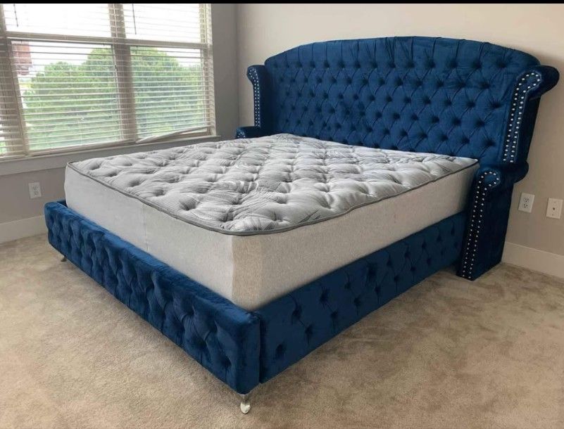 MS Q King Size Navy Blue Platform Bed