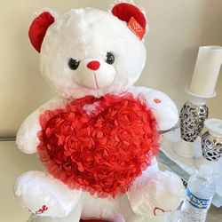 Teddy Bear 🧸 Gift 🎁 