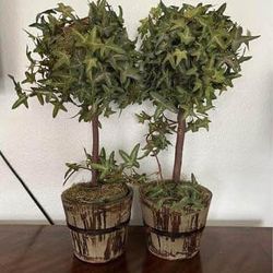 Mini Trees Decoration 