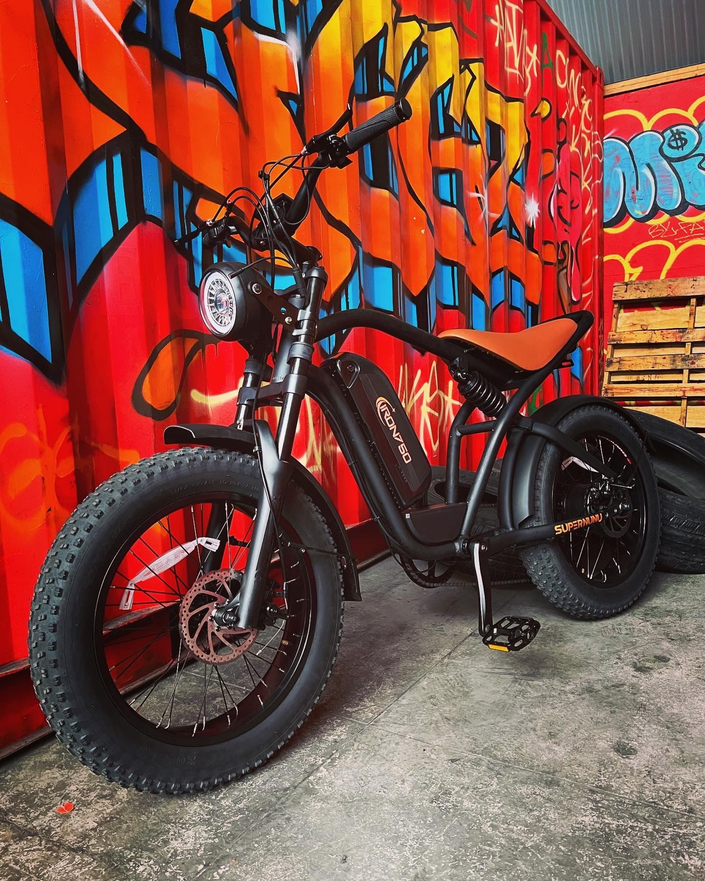 Harley Style Electric Bicycle 