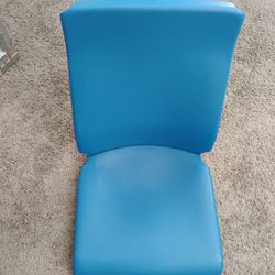 Blue Line Train Seat