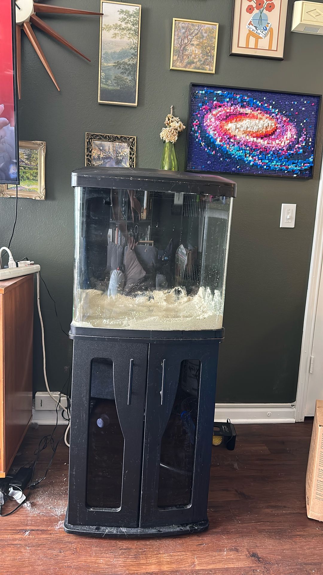 Coral life | 32 Gallon BioCube Aquarium