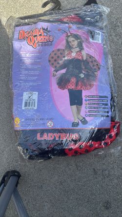 Ladybug