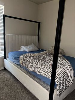 Bed Frame / Mattress